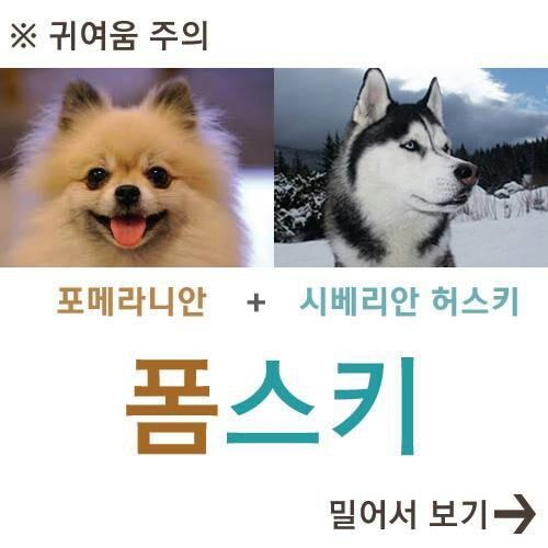 불륜으로 애 낳아서 잘된케이스